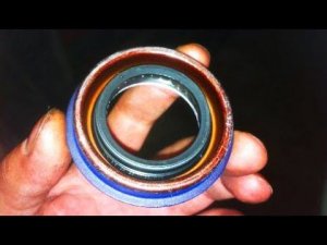 САЛЬНИКИ ВЫДАВИТ ЕСЛИ ПЕРЕЛИТЬ МАСЛО