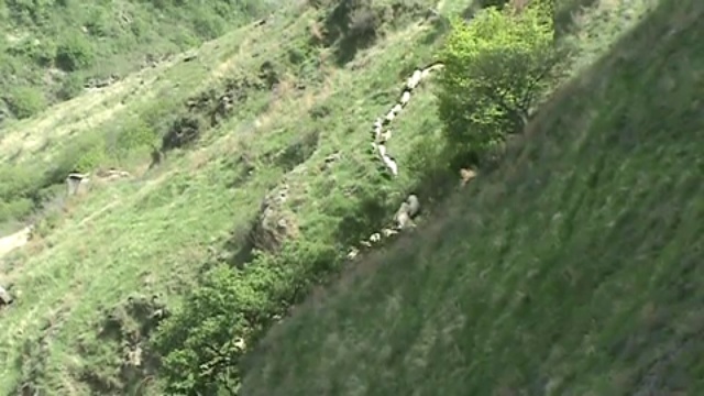 Армянская мудрость фильм снятый в армению в одзуне смотреть онлайн