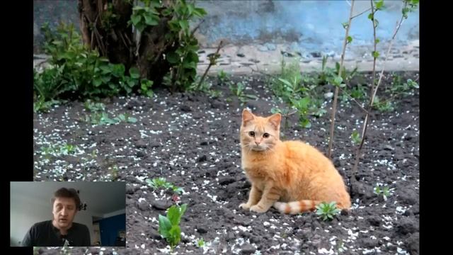 Обсуждение фотографий пользователей. №1 смотреть онлайн