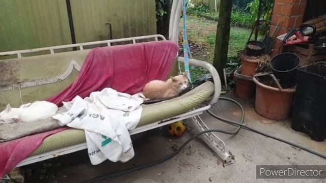 МОККАЧИНО ОТ АНЖЕЛО / ЖЕЛЕ НАШЕ))А ПИЦЦЫ ИТАЛЬЯНСКИЕ)) ГАЛИНКА ИТАЛИЯ смотреть онлайн