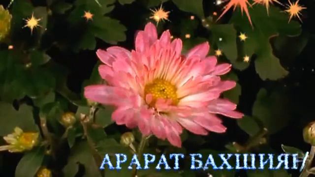 Как распускаются цветы. Ты — мой любимый человек, моя страсть... смотреть онлайн