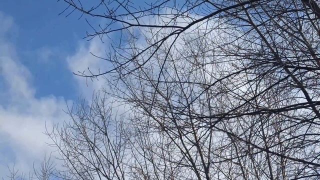 16 апреля народный праздник День Никиты. Народные приметы и традиции. Запреты дня. Что нужно сделат смотреть онлайн