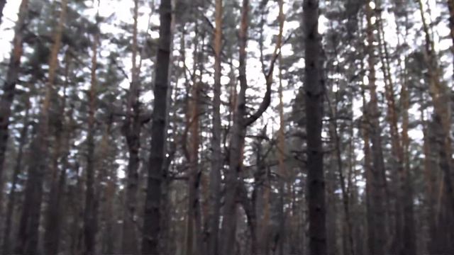 Прогулка у заповедника смотреть онлайн