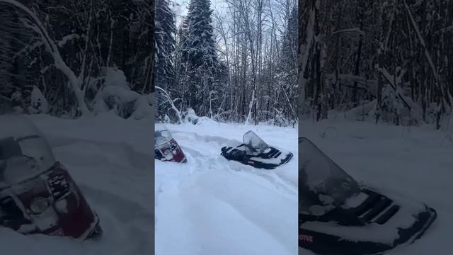 Засадили снегоходы смотреть онлайн