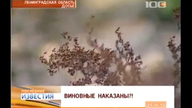 зеленый фронт tv100 05 12 11 смотреть онлайн