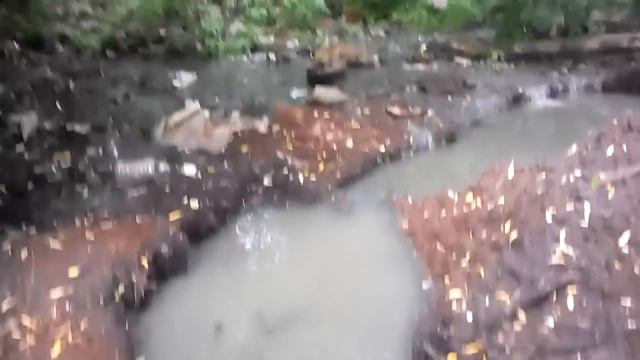 В Кинешме стоки из канализации стекают прямо в Волгу смотреть онлайн