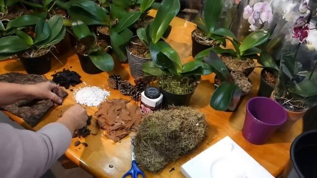 Субстрат для орхидей. Заготовка и приготовление. смотреть онлайн