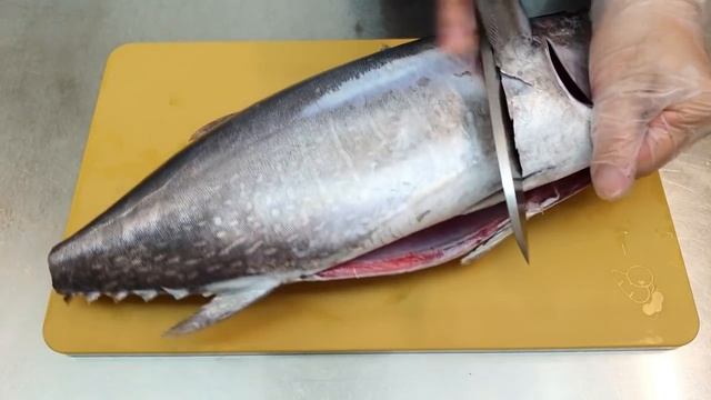 Fresh tuna bought in a fishing port, black spore insects were found after going home and cutting it смотреть онлайн