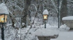 САЛЬВАТОРЕ АДАМО - ПАДАЕТ СНЕГ