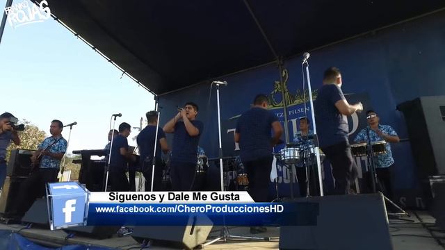 MIX ESAUD SUAREZ🐯(Vicio Mortal, Yo Sin Tu Amor, Historia De Amor, El Embrujo, Triste Payaso) Franko смотреть онлайн