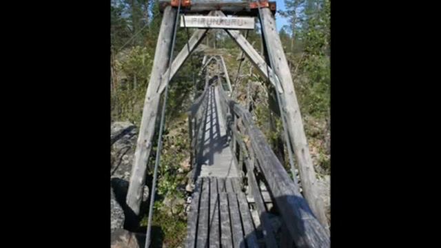 AILA ~ Reijo Taipale  🎵🎼