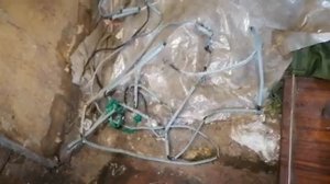 ?НАШ ДОМ. Лесные люди. ⚡️ЭТО УЖАС, МЫ В ШОКЕ!!! Как живут бомжи в деревне?