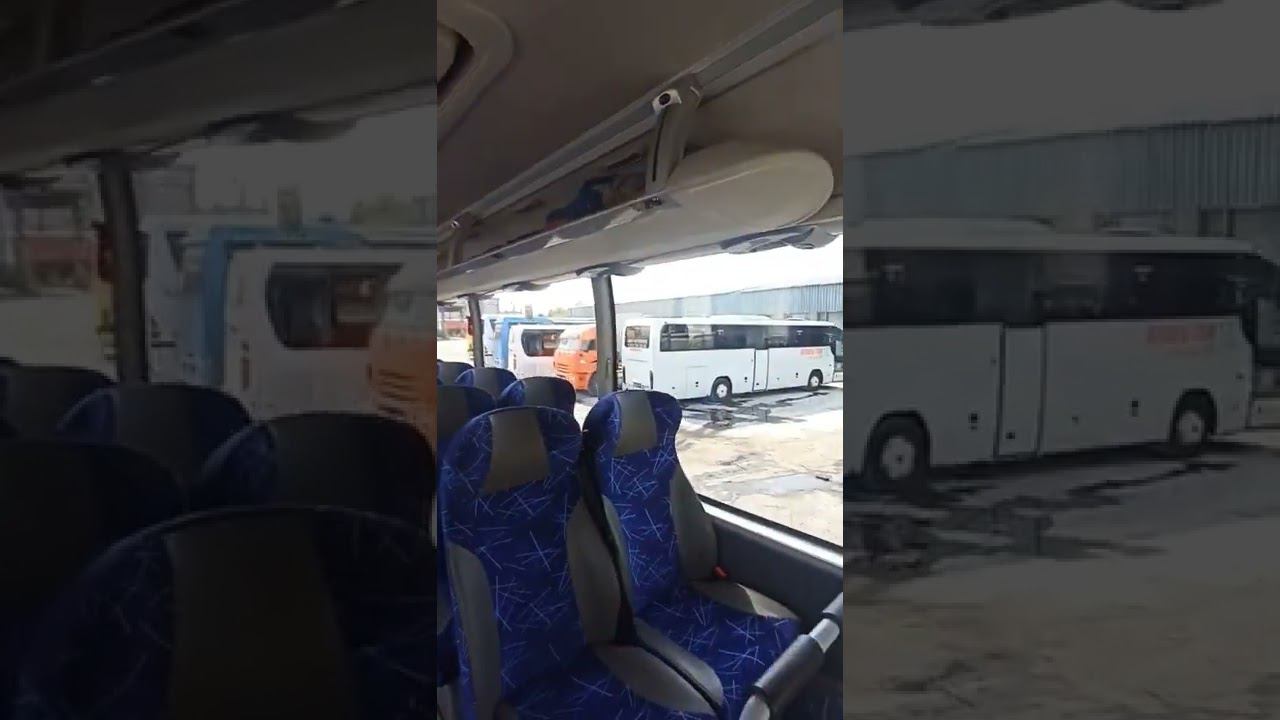 Снял шторы и оказался в аквариуме смотреть онлайн