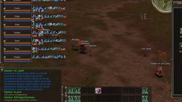 Leader of Cat Gang L39 - Lineage 2 Raid Boss смотреть онлайн