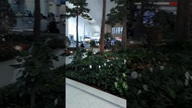 Сеул (аэропорт) смотреть онлайн