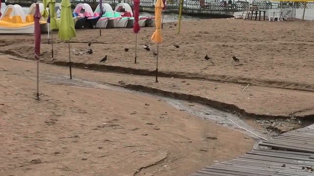 Геленджик после ливневого дождя и грозы быстро оправился 10 августа 2021 смотреть онлайн