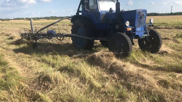 Каменская колония ИК-47 готова поставлять мясо и молоко горожанам смотреть онлайн