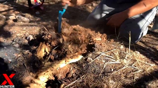 Step into the World of Treasure Hunting [ The Minelab Vanquish 540 Experience ] смотреть онлайн