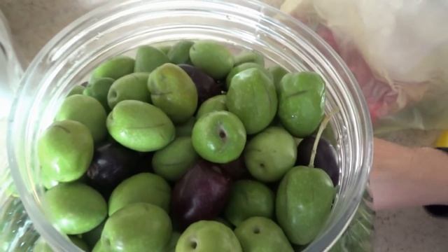 Как засолить оливки, маслины.ЧАСТЬ ПЕРВАЯ. смотреть онлайн