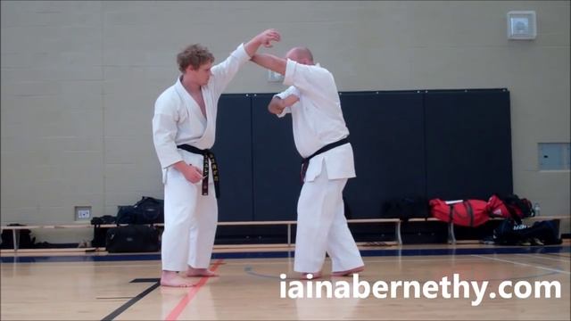 Practical Kata Bunkai: Sochin Opening Sequence смотреть онлайн