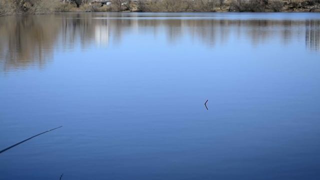 ПОЛОЖИЛ ПОПЛАВОК...ДУМАЛ КАРАСЬ! Весенняя РЫБАЛКА на поплавок 2019. смотреть онлайн