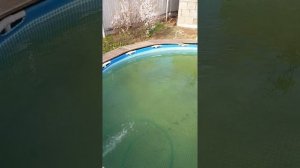 печь для басейна! самая  эффективная!