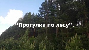 Прогулка по лесу