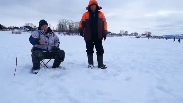 Здесь Рыбы Нет смотреть онлайн