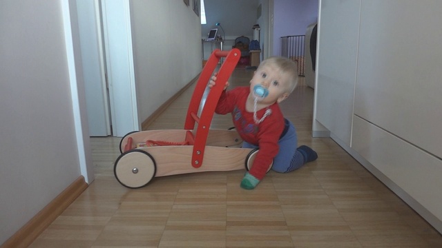IVO UND SEIN WAGEN смотреть онлайн