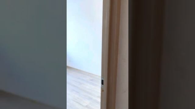 Принимаем у застройщика ЖК Северный смотреть онлайн