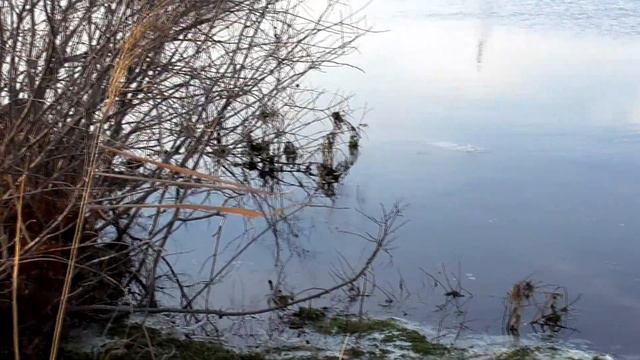 Зимняя рыбалка в деревне осмотр озера профилактика пандемии смотреть онлайн