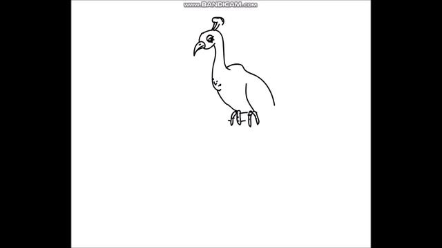 Kako nacrtati Pauna / How to draw a Peacock easy смотреть онлайн