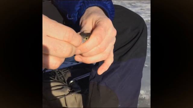 СБФЗ окунь щука 0:0 смотреть онлайн