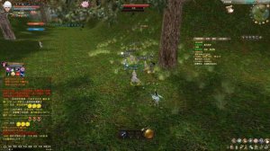 Perfect World Хроники жрецы