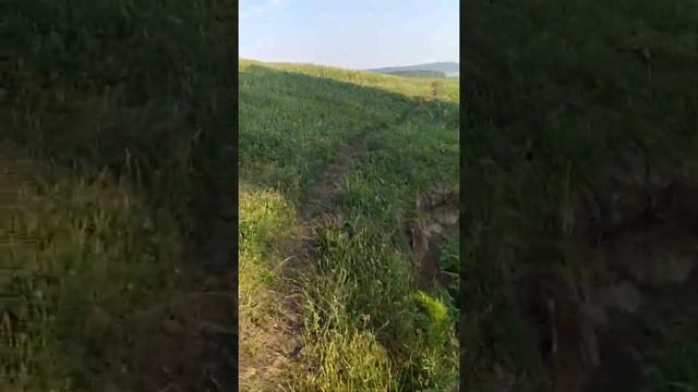 Акташево ?Юрмаш? Гафурийском районе Зилимская гряда смотреть онлайн