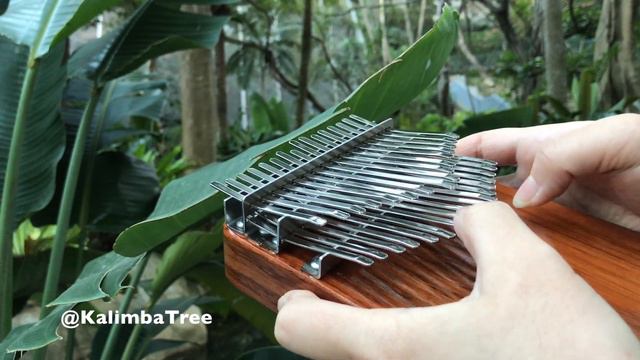 The Swan by Saint-Saëns (Kalimba Cover) смотреть онлайн
