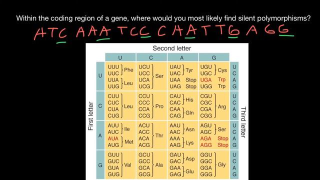 Silent (synonymous) mutations of a gene explained смотреть онлайн