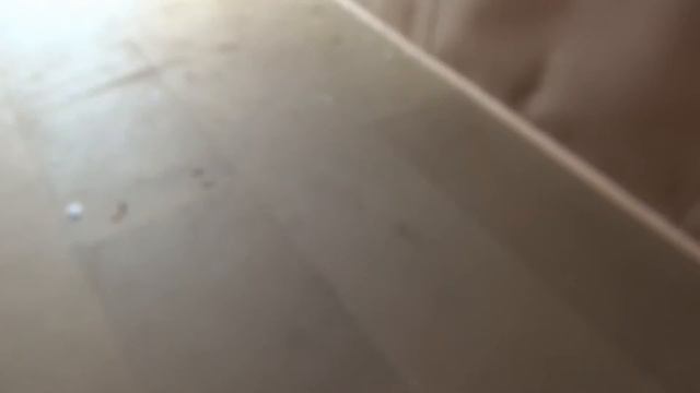 Бытовка 2 3х5 8 Торцевая Бюджетная, Цена 33 200 руб. (Бытовки бани в СПб) смотреть онлайн