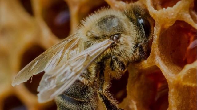 Окружающий мир. Рабочая тетрадь 2 класс 2 часть. ГДЗ стр. 18 №7 смотреть онлайн