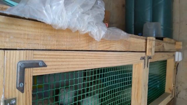 Перепелинную клетку утеплила быстро и без затрат. смотреть онлайн