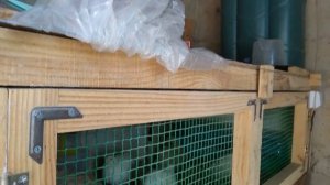 Перепелинную клетку утеплила быстро и без затрат.