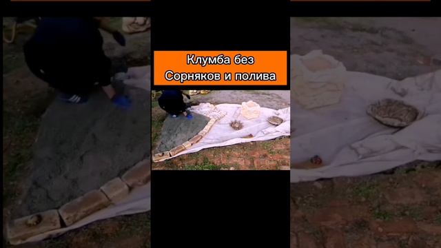 клумба для ленивых#каксделать#лайфхаки #идеи #своимируками смотреть онлайн