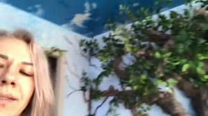 Дерево из пены монтажной и штукатурки. Итог.