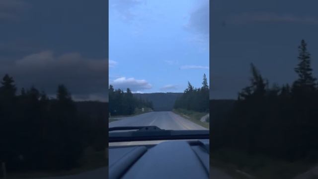 #канадавлог Переезжать в Ньюфаундленд или нет? Мое мнение о жизни в Ньюфаундленде, Канада. смотреть онлайн
