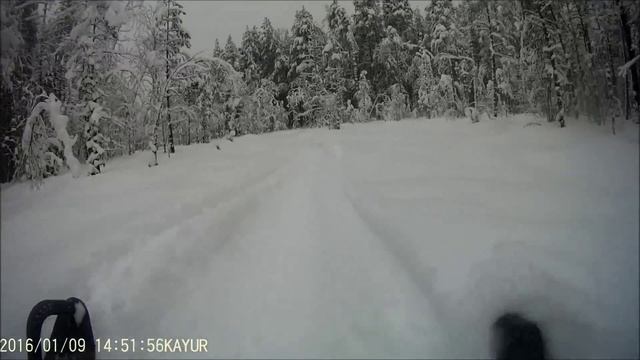 From FP смотреть онлайн