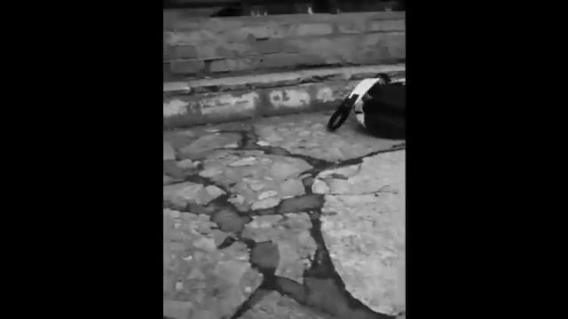 parkour slovakia nitra смотреть онлайн