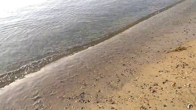 Море 29.07 смотреть онлайн