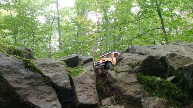 FMS Toyota FJ40 in the woods смотреть онлайн