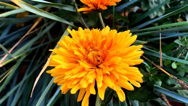 Лунный календарь стрижки Октябрь 2021. Благоприятные и неблагоприятные дни для стрижки волос смотреть онлайн