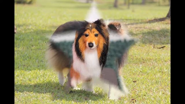 Blacs Customise Sculpture Dogs Shelties смотреть онлайн